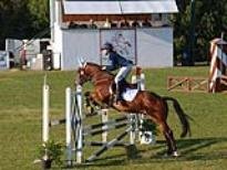 01. Campionati Regionali Salto Ostacoli
