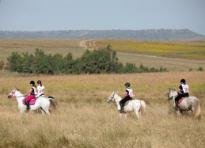 02. Campionato Regionale Endurance